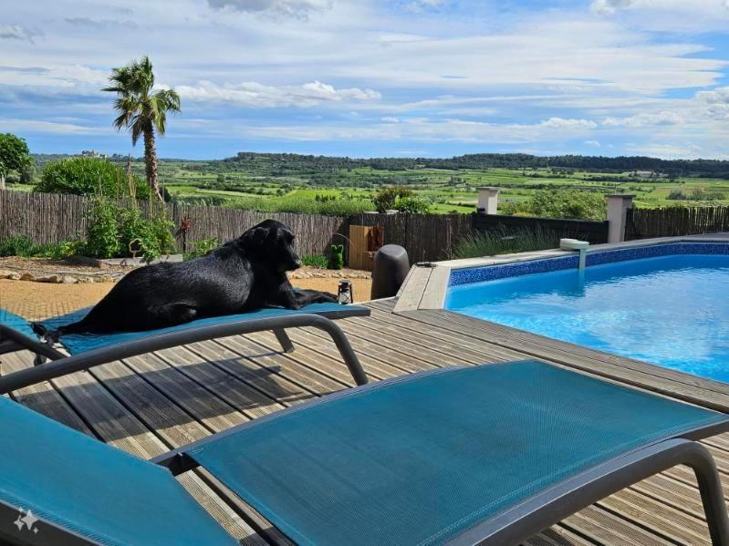 Отель Domaine Du Chene Campagnan Экстерьер фото